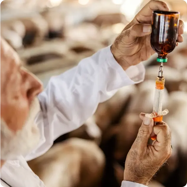 animal_pharmaceuticals_1_5x